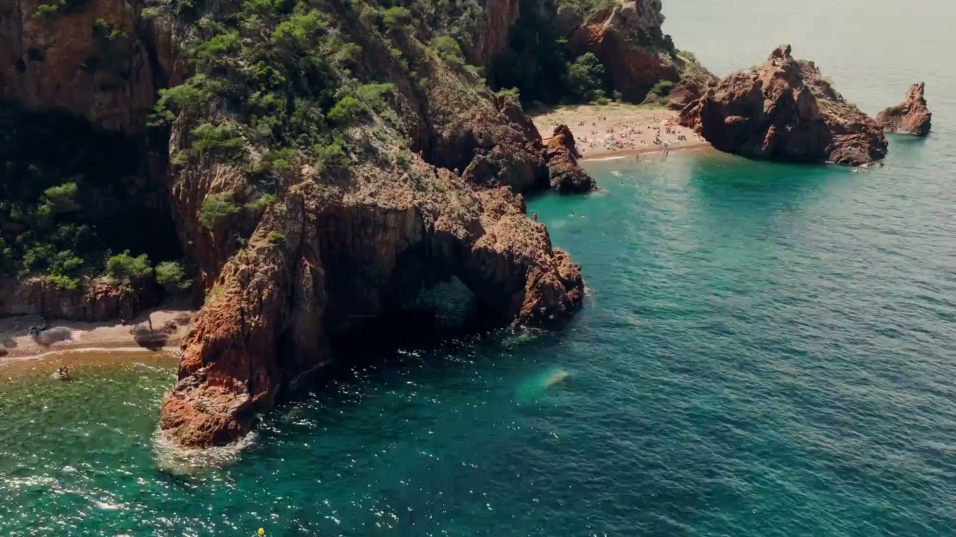 LOTUS — video