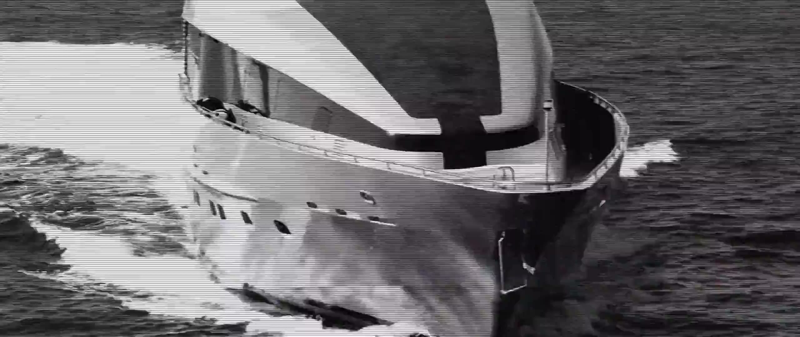 PANDION — video