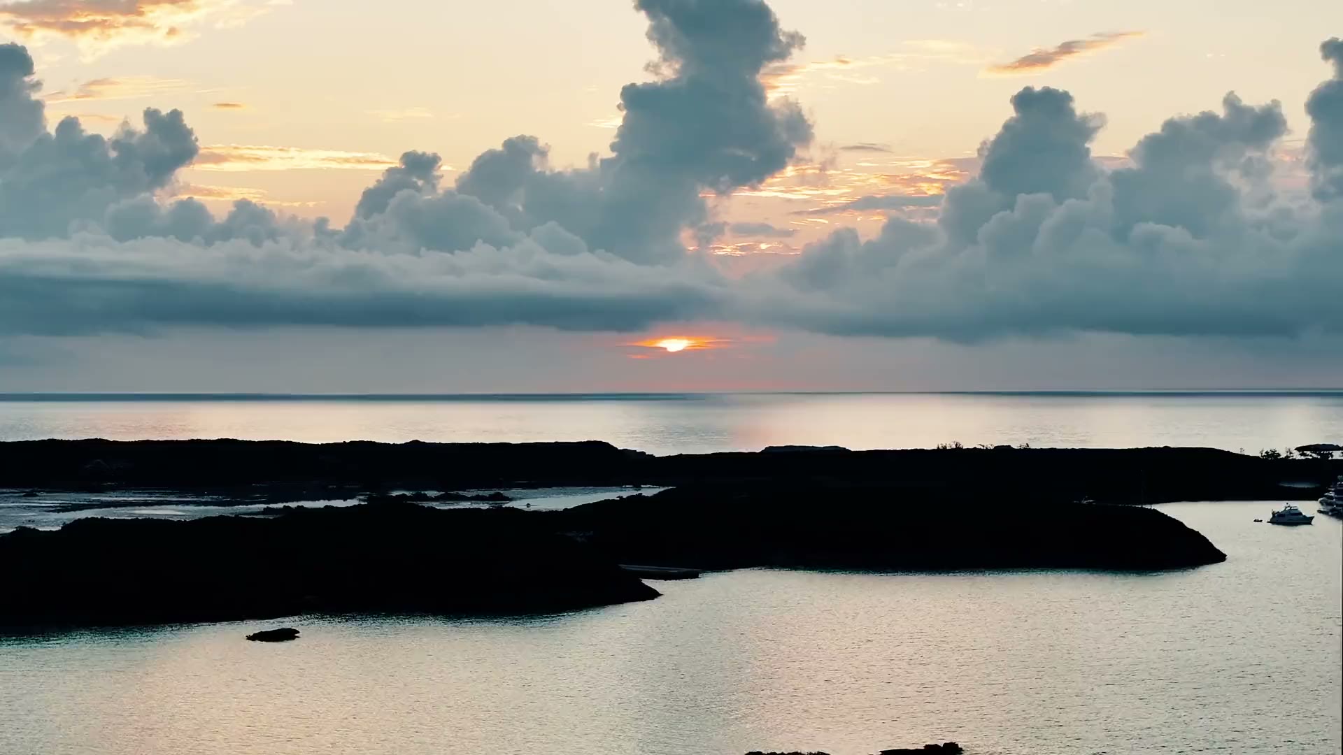 AS YOU WISH — video